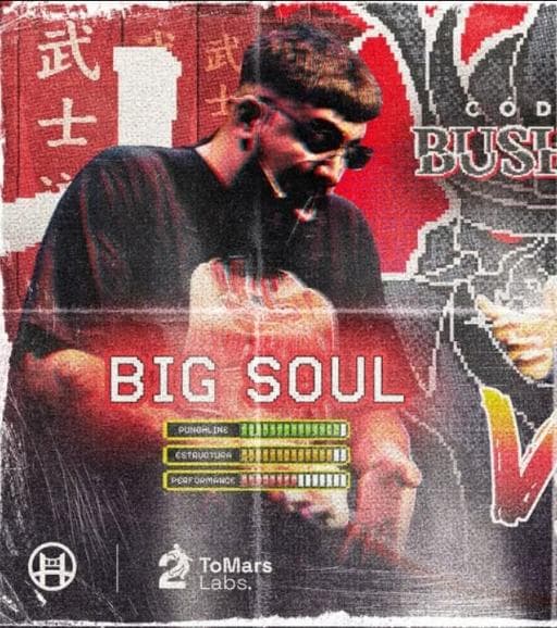 BIG SOUL